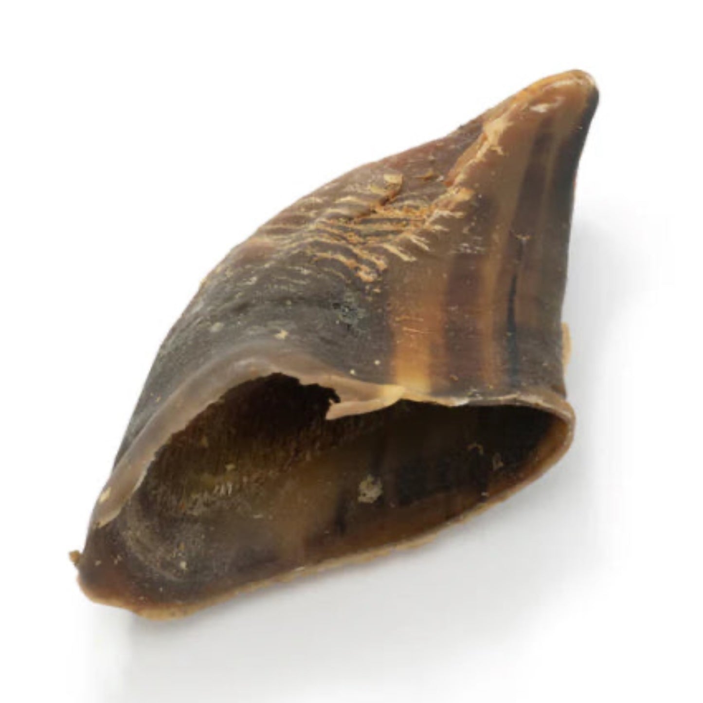 Cow Hooves (hoofs) 3 pack