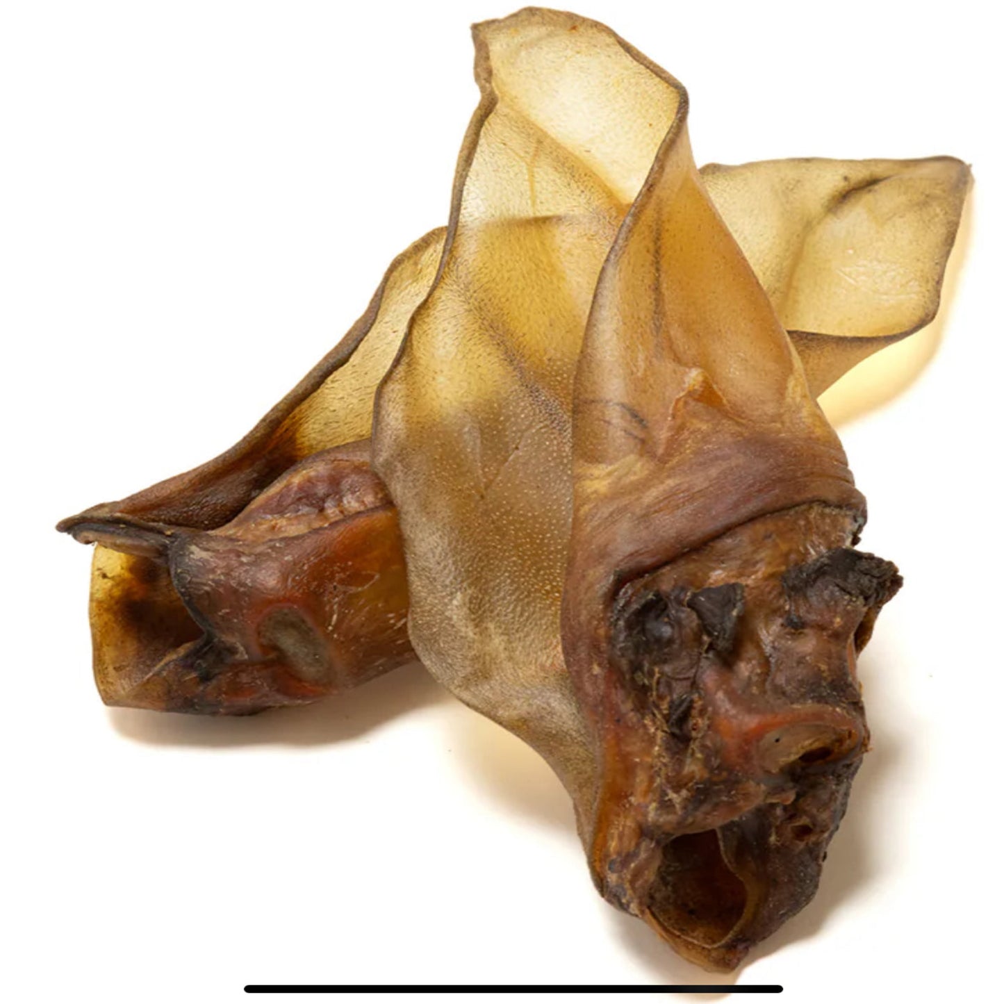 Large cow ear each