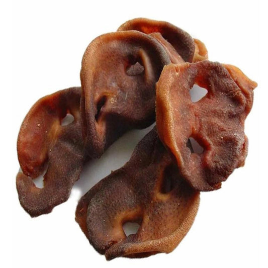 Pig Snout 5 pack
